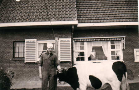 Jakke Hiemstra met koe voor de slagerij